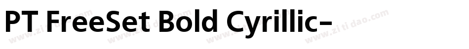 PT FreeSet Bold Cyrillic字体转换